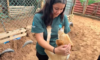 Rescue from a disaster in Mexico